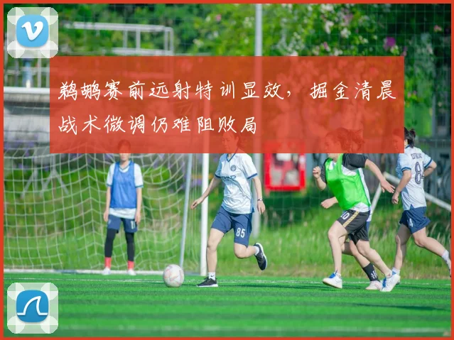 鹈鹕赛前远射特训显效,掘金清晨战术微调仍难阻败局